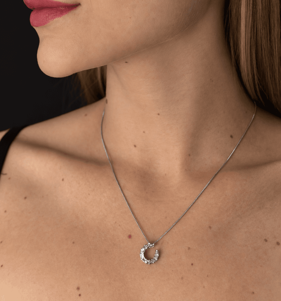 Colar Arc Banhado a Rodio Branco com Zirconia e Strass na modelo